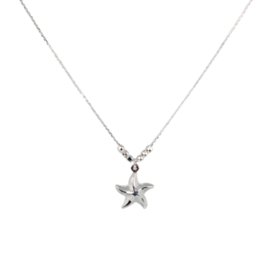 Gargantilla Estrella de Mar de Plata Estuche Gratis