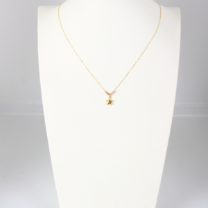 Gargantilla de Oro 10k Aros 3 Colores con Dije Estrella Estuche De Regalo